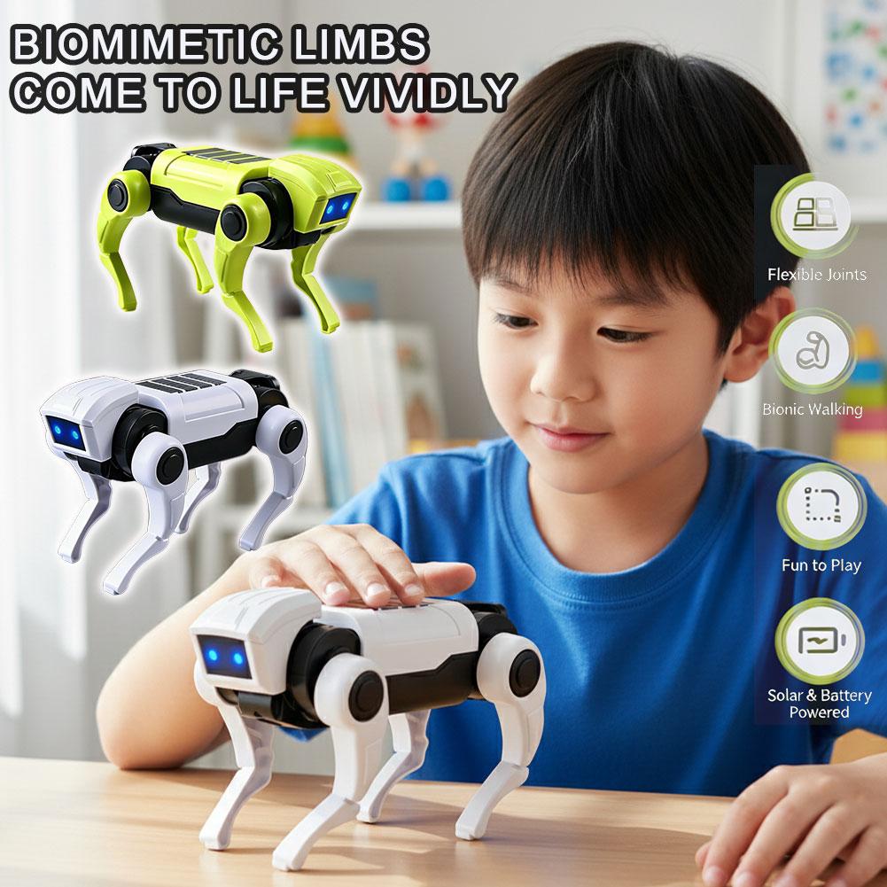 DIY Assembly RC Robot Dog Toy  – Rc Hobby Kit Bewertung und Preis