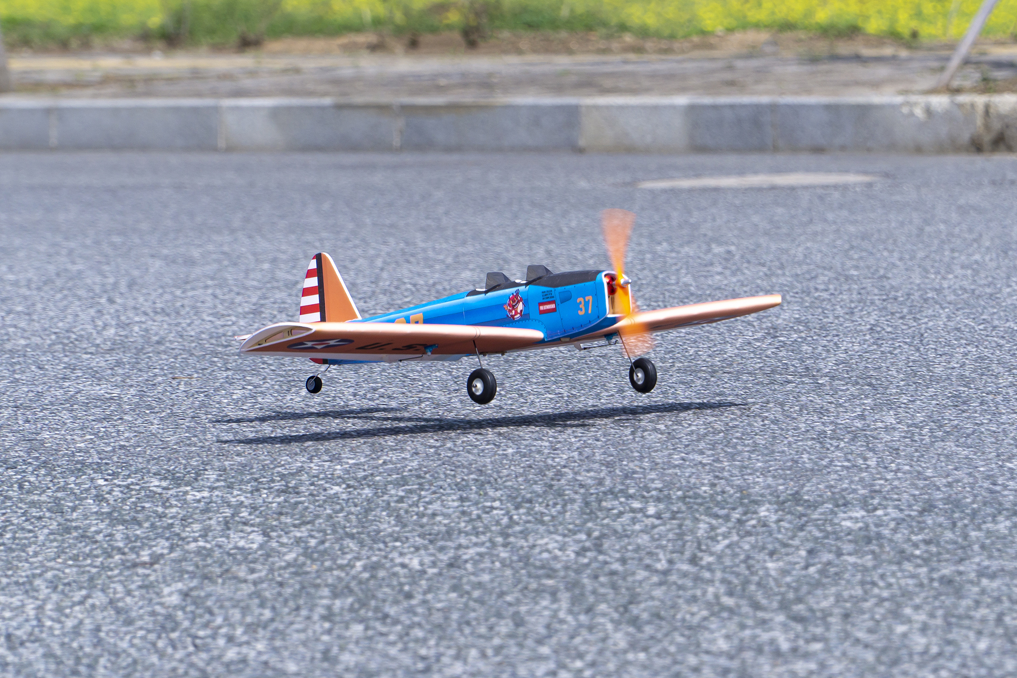 DW Hobby 900mm Wingspan PT-19  – Rc Hobby Online Bewertung und Preis
