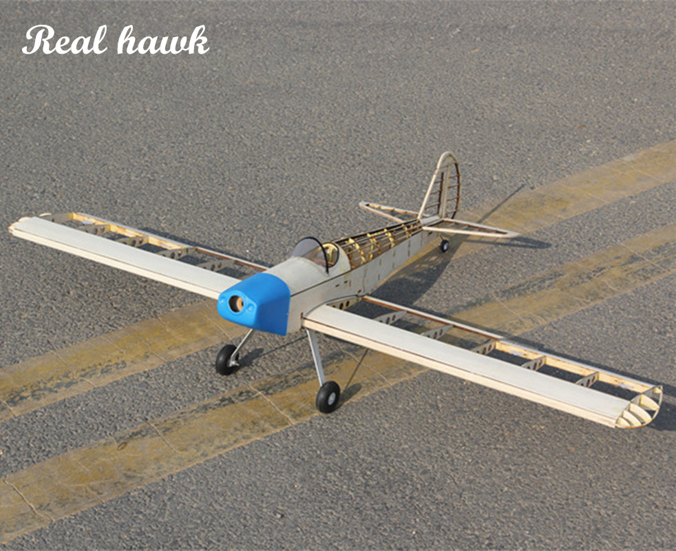 RC AirPlanes Laser Cut Balsa W – Rc Hobby Kit Bewertung und Preis
