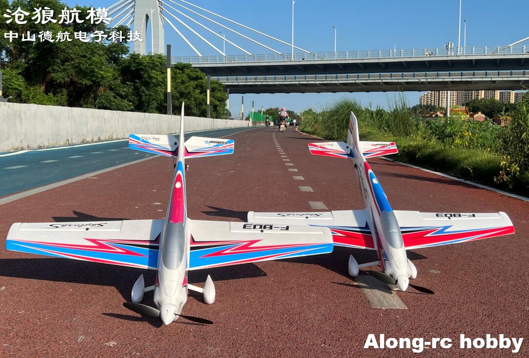 F803  F3A Skylarks 1000mm Wing – Rc Hobby Online Bewertung und Preis