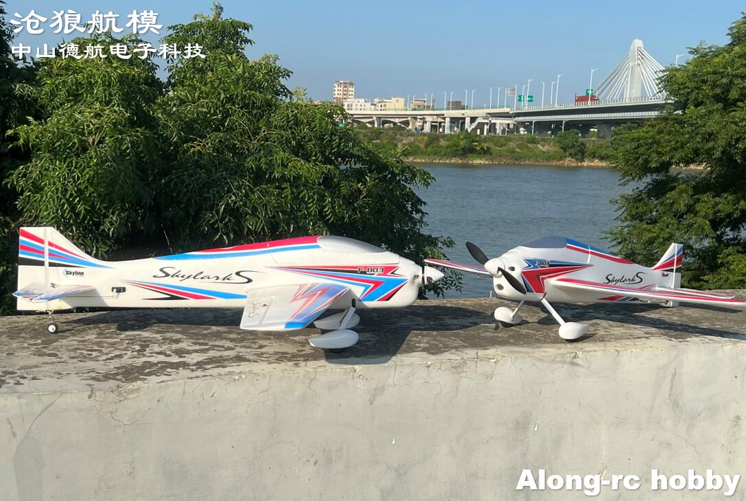 F803  F3A Skylarks 1000mm Wing – Rc Hobby Online Bewertung und Preis